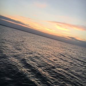 Meet your Posher, Jess